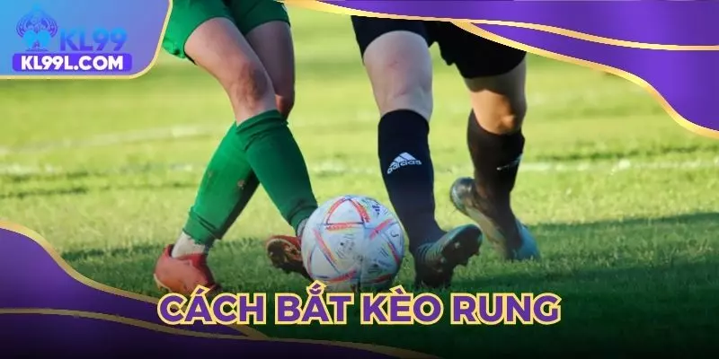 cách bắt kèo rung